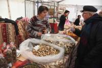 Saint-Bonnet-le-Froid, c&#039;est un coin à champignons