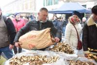 Saint-Bonnet-le-Froid, c&#039;est un coin à champignons