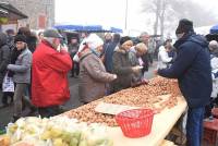 Saint-Bonnet-le-Froid, c&#039;est un coin à champignons