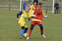 Brives-Charensac : 32 équipes de foot au tournoi régional U11 et U13 (photos)