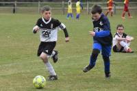 Brives-Charensac : 32 équipes de foot au tournoi régional U11 et U13 (photos)