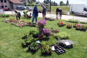 Montregard : les fleurs et les pains vite vendus