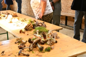 Freycenet-la-Tour : l&#039;ENA referme sa saison avec les champignons