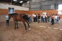 Yssingeaux : les lycéens apprennent à juger les chevaux et les vaches