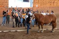 Yssingeaux : les lycéens apprennent à juger les chevaux et les vaches