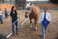 Yssingeaux : les lycéens apprennent à juger les chevaux et les vaches