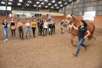 Yssingeaux : les lycéens apprennent à juger les chevaux et les vaches