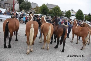 La première foire aux chevaux de la saison, c&#039;est aux Estables ce samedi