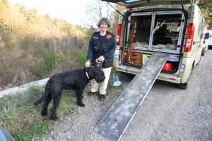 Yssingeaux : des simulations de recherche de victimes organisées ce week-end par le club canin