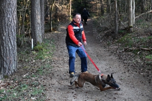 Yssingeaux : des simulations de recherche de victimes organisées ce week-end par le club canin