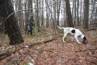 Lapte : 17 équipages au concours de chasse