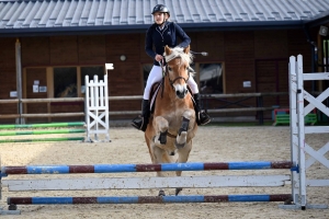 Equitation : un record de cavaliers au CSO d&#039;Yssingeaux