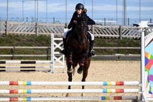 Equitation : un record de cavaliers au CSO d&#039;Yssingeaux