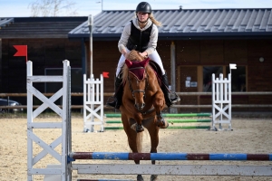 Equitation : un record de cavaliers au CSO d&#039;Yssingeaux