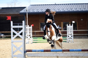 Equitation : un record de cavaliers au CSO d&#039;Yssingeaux