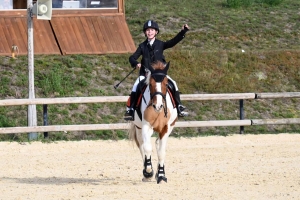 Equitation : un record de cavaliers au CSO d&#039;Yssingeaux