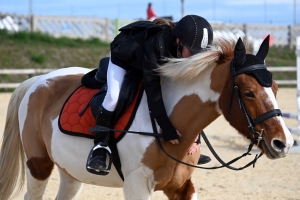 Equitation : un record de cavaliers au CSO d&#039;Yssingeaux