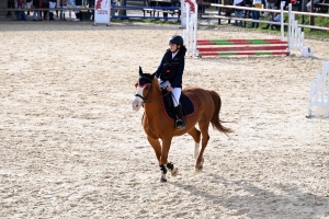 Equitation : un record de cavaliers au CSO d&#039;Yssingeaux