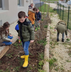 Retournac : on ressort les pioches et les râteaux à l&#039;école de Charrées