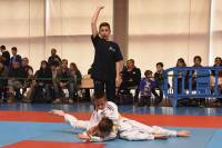 300 judokas réunis dans un immense dojo à Choumouroux