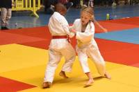 300 judokas réunis dans un immense dojo à Choumouroux