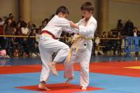 300 judokas réunis dans un immense dojo à Choumouroux