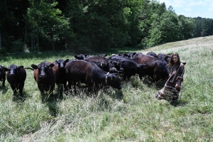 La Chapelle-d&#039;Aurec : éleveuse de vaches Black Angus, elle prépare l&#039;ouverture d&#039;un saloon