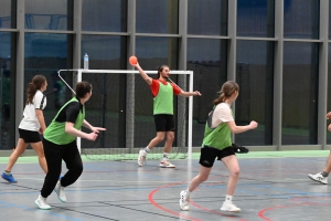 Monistrol-sur-Loire  : 16 équipes ont joué au volley et au hand