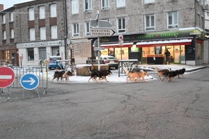 Sainte-Sigolène : de la quantité et de la qualité au marché de Noël