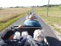 Sainte-Sigolène : une promenade insolide en cani-kart pour les résidents