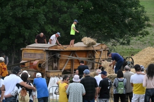 Yssingeaux : la Fête de la batteuse a battu son plein