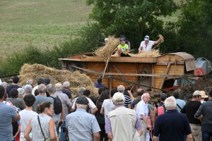 Yssingeaux : la Fête de la batteuse a battu son plein