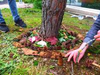 Sainte-Sigolène : du land art à la médiathèque L&#039;Echappée belle