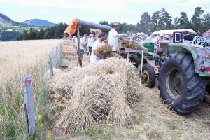 A Montusclat, la faulx perpétue la tradition