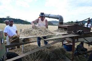 A Montusclat, la faulx perpétue la tradition