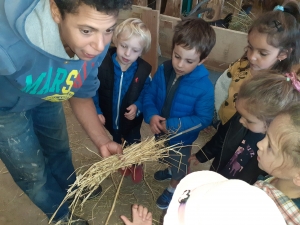 L&#039;école maternelle Théodore-Monod à la découverte des chèvres