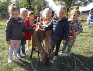 L&#039;école maternelle Théodore-Monod à la découverte des chèvres