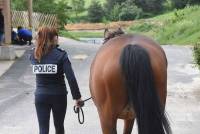 Yssingeaux : un challenge d&#039;équitation pour les cavaliers de la police nationale