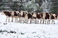 Un dimanche 13 mai sous la neige en Haute-Loire et Ardèche