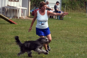 Monistrol-sur-Loire : 80 chiens ont participé au concours d&#039;agility