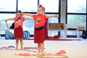 Monistrol-sur-Loire : un gala de gym coloré