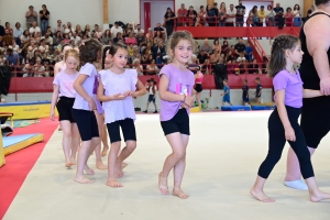 Monistrol-sur-Loire : un gala de gym coloré