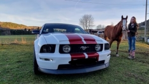 Yssingeaux : le rêve américain s&#039;invite ce week-end au Ranch Montana