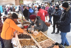 Foire aux champignons : tout ce qu&#039;il faut savoir avant d&#039;aller à Saint-Bonnet-le-Froid