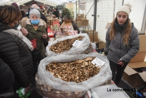 Foire aux champignons : tout ce qu&#039;il faut savoir avant d&#039;aller à Saint-Bonnet-le-Froid