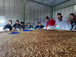 Foire aux champignons : tout ce qu&#039;il faut savoir avant d&#039;aller à Saint-Bonnet-le-Froid