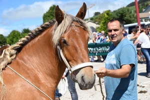 Les Estables, dernier concours des chevaux lourds avant la finale départementale