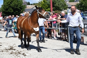 Les Estables, dernier concours des chevaux lourds avant la finale départementale