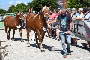 Les Estables, dernier concours des chevaux lourds avant la finale départementale