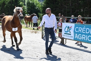 Les Estables, dernier concours des chevaux lourds avant la finale départementale